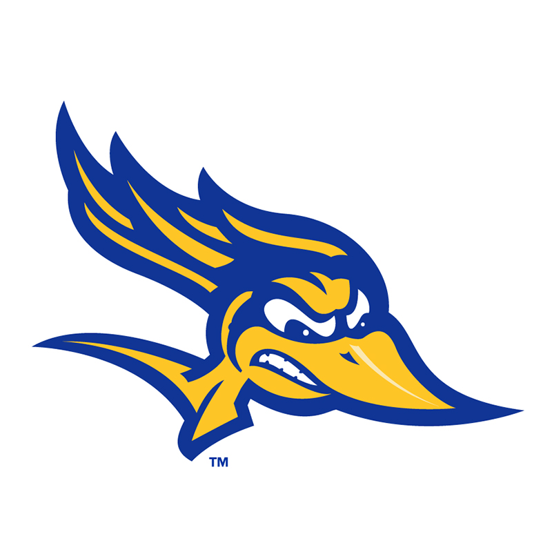 CSU Bakersfield Roadrunners iron ons